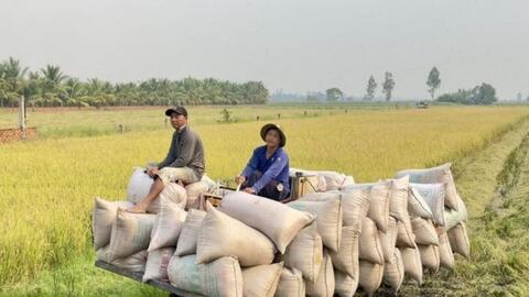 Xuất khẩu nông, lâm, thủy sản tháng đầu năm 2026 tăng gần 30%