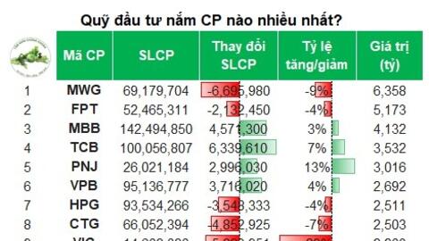 Ngân hàng và bán lẻ vẫn là trụ cột danh mục các quỹ tháng 01/2026