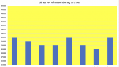 Giá heo hơi hôm nay 24/2/2026: Giảm vài nơi tại miền Trung và miền Nam