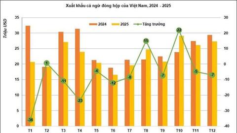 Xuất khẩu cá ngừ đóng hộp Việt Nam năm 2026 và cơ hội mở thị trường