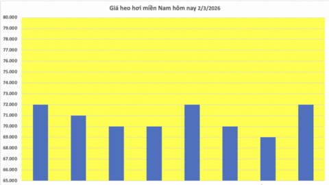 Giá heo hơi hôm nay 2/3/2026: Giữ đà bình ổn