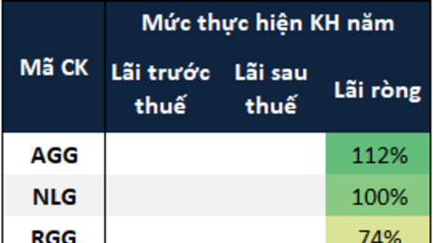 Bao nhiêu doanh nghiệp bất động sản nhà ở cán đích lợi nhuận 2025?