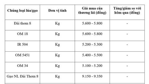 Giá lúa gạo hôm nay ngày 23/3: Gạo xuất khẩu OM 5451 đảo chiều tăng