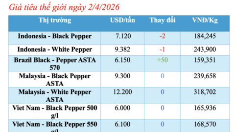 Giá tiêu hôm nay 2/4/2026: Dao động từ 138.000 - 139.000 đồng/kg