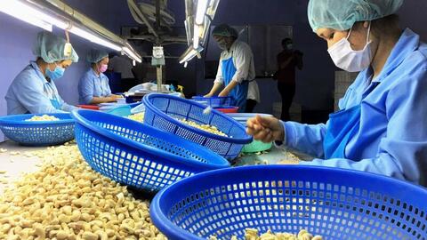 Hai trụ cột giúp nông sản Việt nâng vị thế trong chuỗi giá trị toàn cầu