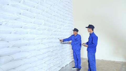 Lựa chọn nhà thầu mua 300.000 tấn gạo dự trữ quốc gia nhập kho năm 2026