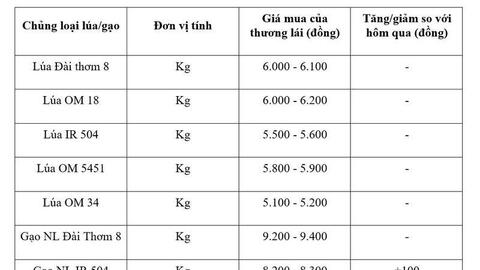 Giá lúa gạo hôm nay ngày 22/4: Gạo nguyên liệu xuất khẩu tiếp đà tăng