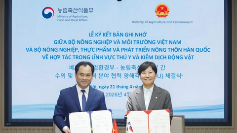 Việt Nam - Hàn Quốc thống nhất mở cửa thị trường với sản phẩm thịt gà chế biến