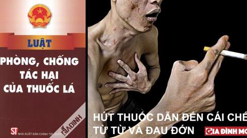 Hiểu rõ tác hại thuốc lá để tránh xa thuốc lá