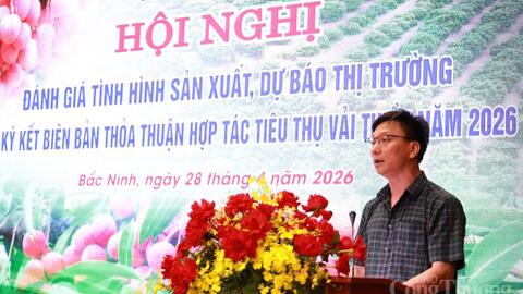 Bắc Ninh ký kết biên bản thỏa thuận, tiêu thụ vải thiều năm 2026
