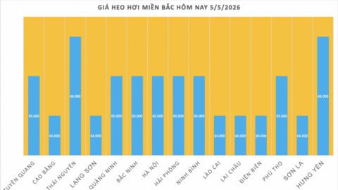 Giá heo hơi hôm nay 5/5/2026: Biến động trái chiều