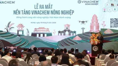 Dấu ấn VinachemMart và bước đột phá chuyển đổi số của ngành hóa chất
