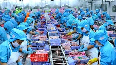 Phát triển chế biến thủy sản theo hướng hiện đại, bền vững