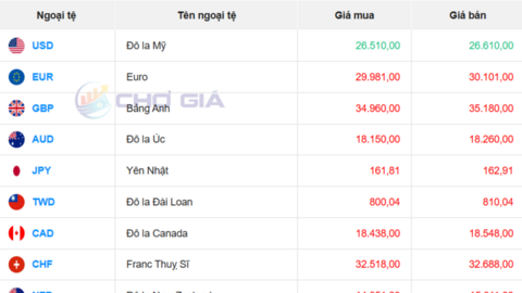 Tỷ giá USD hôm nay 7/7/2026: Đồng bạc xanh phục hồi, DXY vượt mốc 100