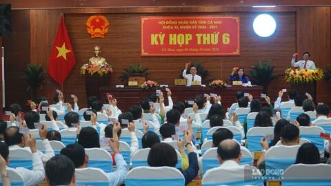 Cà Mau duyệt dự án đường ven biển hơn 8.545 tỉ đồng