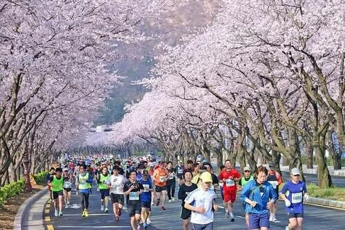 Hàn Quốc nỗ lực hút khách Việt, tăng thu từ du lịch