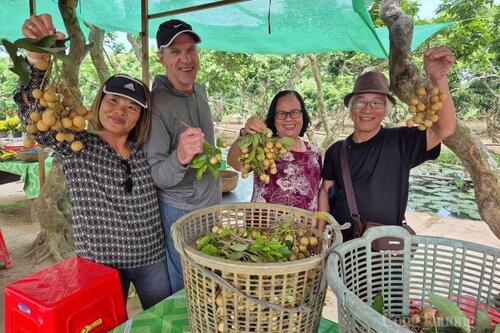 Cần Thơ: Du lịch miệt vườn vào mùa rộn ràng đón khách