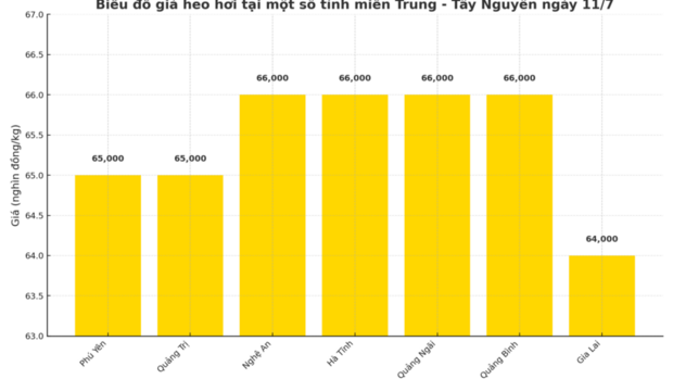 Giá heo hơi hôm nay 11/7/2025: Ổn định trên diện rộng