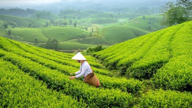 Sa Pa: Kể câu chuyện văn hóa để nâng tầm nông sản gắn du lịch bền vững