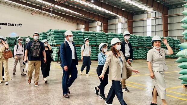 Để cà phê Việt không chỉ nhiều mà còn mạnh trên thị trường xuất khẩu