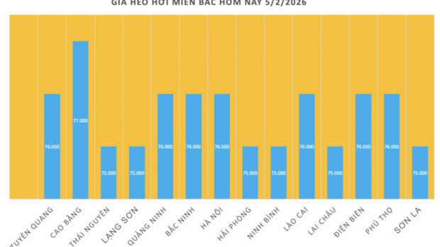 Giá heo hơi hôm nay 5/2/2026: Giảm diện rộng