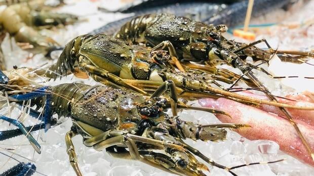 Doanh nghiệp cần làm gì để giữ lợi thế của ngành tôm tại EU?