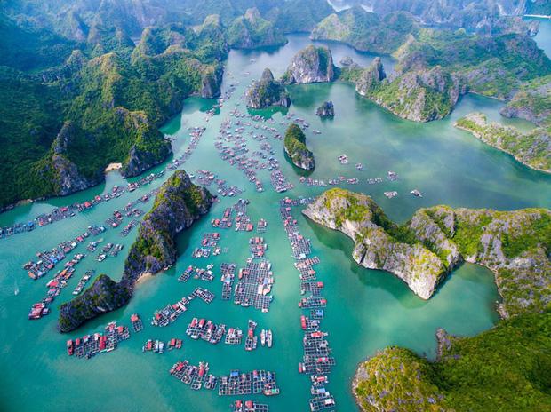Không phải Đà Lạt, Sa Pa hay Đà Nẵng, địa điểm du lịch Việt Nam được nhiều người tìm kiếm nhất trong năm 2020 sẽ khiến bạn bất ngờ - Ảnh 4. Không phải Đà Lạt, Sa Pa hay Đà Nẵng, địa điểm du lịch Việt Nam được nhiều người tìm kiếm nhất trong năm 2020 sẽ khiến bạn bất ngờ - Ảnh 4.