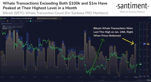 Giá Bitcoin chuẩn bị tăng mạnh, Bitcoin, Cá voi ảnh 1