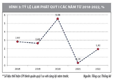 Lạm phát thế giới năm 2021, triển vọng năm 2022 - Ảnh 3