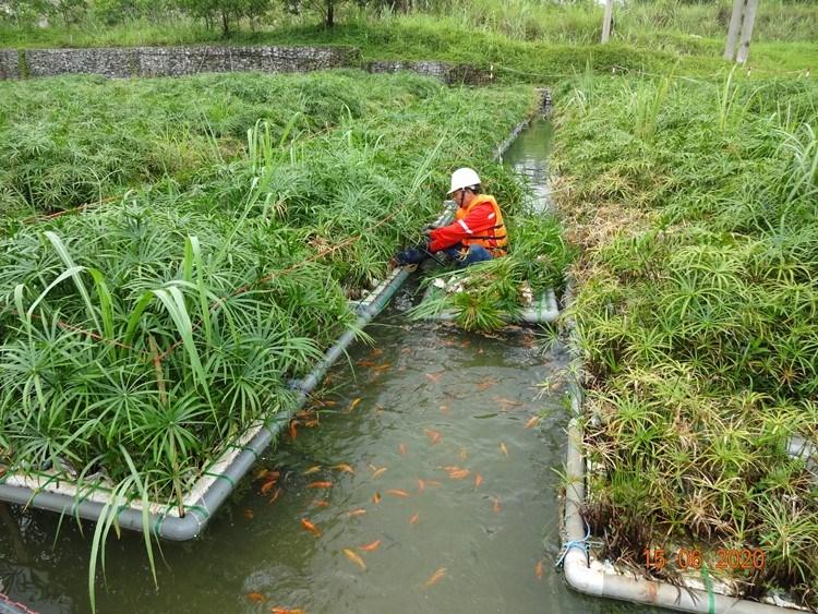 Việt Nam cần tiếp tục đẩy mạnh phòng ngừa và kiểm soát ô nhiễm, suy thoái môi trường.