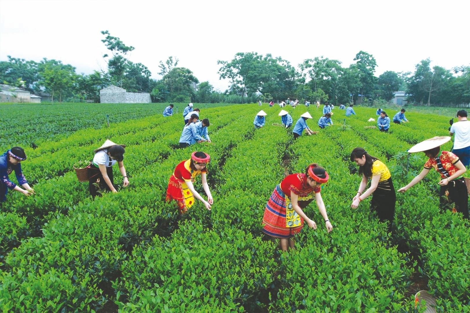 vung trung du va mien nui phia bac phai tro thanh hinh mau phat trien xanh