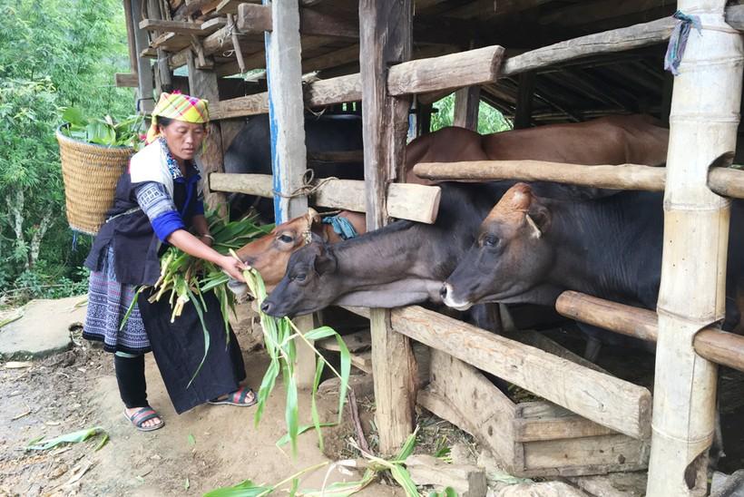 Dế Xu Phình gắn xây dựng nông thôn mới với giảm nghèo bền vững ảnh 2