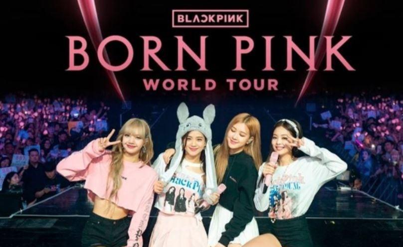 Xác minh công ty tổ chức concert BLACKPINK ủng hộ 'đường lưỡi bò' ảnh 1