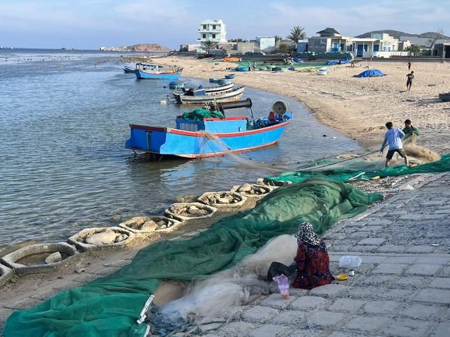 Lý do Ninh Thuận hủy thông báo thu hồi đất cho điện hạt nhân - Ảnh 2.