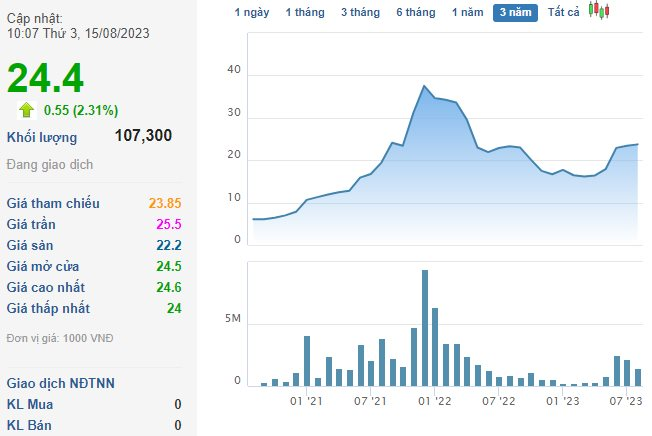 Phó Chủ tịch một công ty chứng khoán muốn mua gần 4% công ty, dự chi 140 tỷ đồng - Ảnh 1.