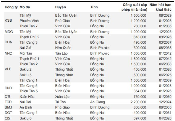 Lãi lớn quý 2 nhờ HPG, một doanh nghiệp ngành đá sắp tạm ứng cổ tức bằng tiền mặt tỷ lệ 30%, KQKD được kỳ vọng hưởng lợi từ sân bay Long Thành - Ảnh 1.