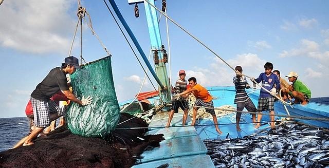 Thủ tướng yêu cầu quyết tâm gỡ 'thẻ vàng' thủy sản - Ảnh 1.