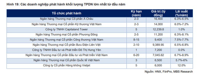 Ngành ngân hàng phát hành 94.000 tỷ đồng trái phiếu từ đầu năm: Những nhà băng nào dẫn đầu? - Ảnh 1.