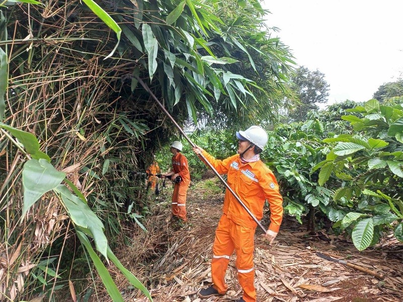 Công nhân Đội Quản lý vận hành lưới điện Cao thế thực hiện phát quang hành lang tuyến trong rẫy cà phê của người dân. Ảnh: Thanh Nga