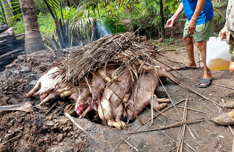 Tiền Giang: Tập trung quyết liệt phòng, chống bệnh dịch tả lợn châu Phi