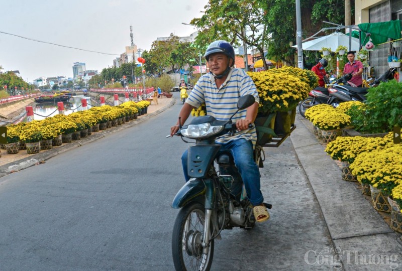 Cần Thơ rực rỡ sắc màu hoa Tết