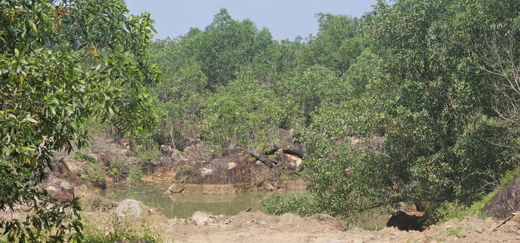 Quảng Nam: Doanh nghiệp