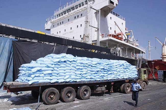 Giá gạo tăng, Senegal tìm nguồn cung gạo tấm ngoài Ấn Độ