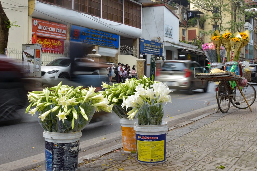 Thời điểm này trên khắp các con đường của Hà Nội đã tràn ngập sắc trắng mộc mạc, tinh khôi của hoa loa kèn, loài hoa luôn gợi đến một nét sâu lắng, nhẹ nhàng rất riêng của mùa hoa Hà Nội.