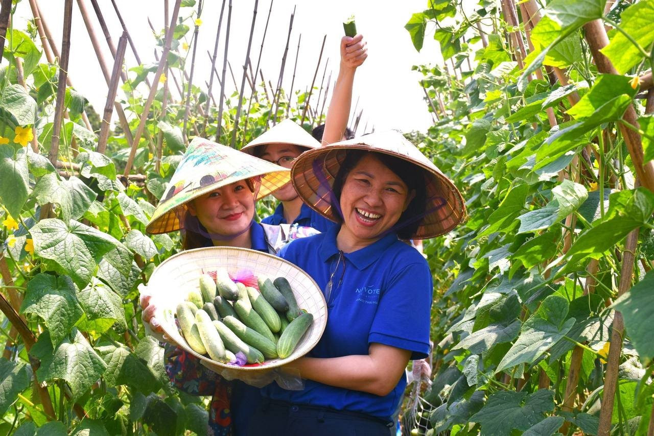 Tour du lịch ven đô Hà Nội hút khách nước ngoài- Ảnh 1.