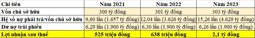 Gánh nợ 1.900 tỷ đồng trái phiếu, Đầu tư Nguyên Bình đang làm ăn ra sao?- Ảnh 2.