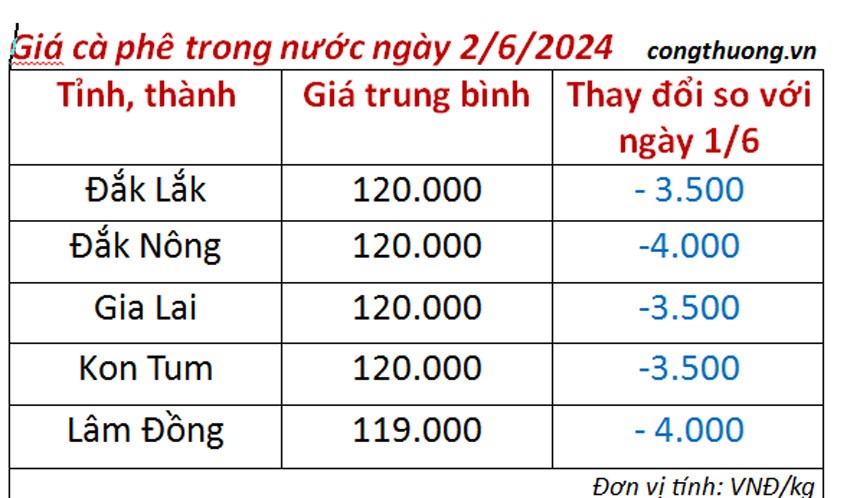 Giá cà phê hôm nay ngày 2/6/2024: Giảm nhẹ