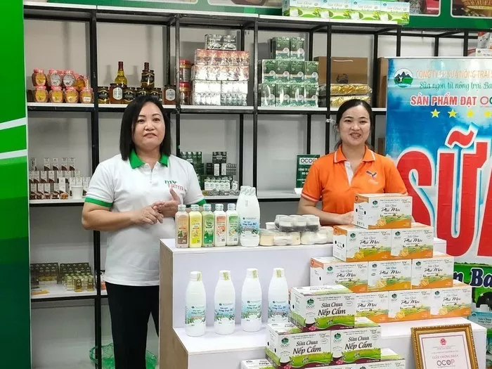 Việc chuyển đổi số giúp doanh nghiệp có thêm thu nhập