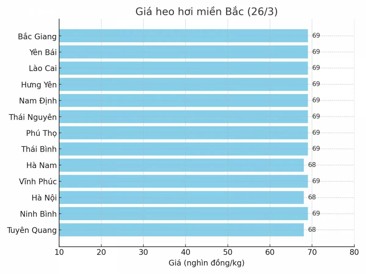 Biểu đồ giá heo hơi tại các tỉnh miền Bắc ngày 26/3.