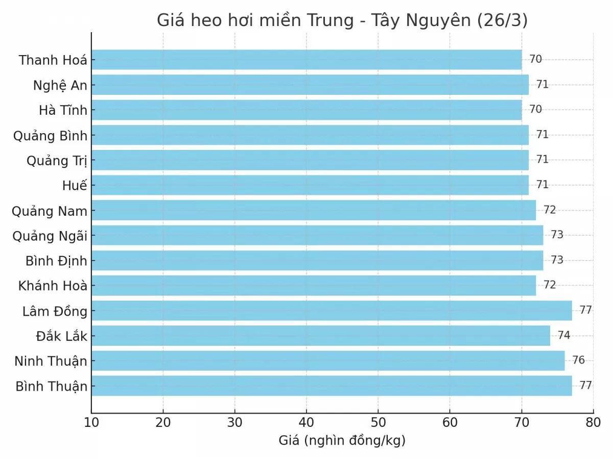 Biểu đồ giá heo hơi tại các tỉnh miền Trung - Tây Nguyên ngày 26/3.